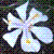 :iconkookplus2: