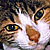 :iconKookyKatt13: