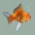 :iconkoolaidpirate:
