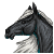 :iconkooli2087: