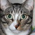 :iconkoolkatkaitlynaatc: