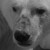 :iconkoolwaters69: