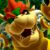 :iconkoopakidsfan:
