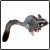 :iconkootonii16: