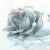 :iconkora-annabell-evena: