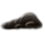 :iconkoraunmidora:
