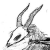 :iconKorbael: