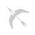 :iconkori-the-echidna: