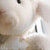 :iconkoricat:
