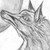 :iconkorigami: