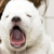 :iconkorinda-honeybuns: