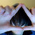 :iconkorlashadow: