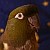 :iconkorn-lander: