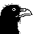 :iconkorpinsulka: