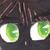 :iconkorrasarsdt: