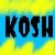 :iconkosh79: