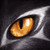:iconkoshakn7: