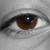 :iconkothlet: