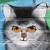 :iconkotnarkozz: