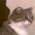 :iconkotogore: