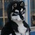 :iconkotoori-long: