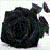 :iconkotowaru-no-jisastu: