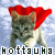 :iconkottauka:
