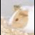Koudoawaia :iconkoudoawaia: