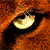 :iconkougart:
