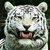 :iconkouza2517: