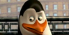 :iconkowalskimasterotu: