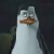 :iconkowalskithepenguin: