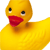 :iconkoyuki: