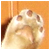 :iconkozi-bobek: