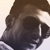 :iconkozlovacki: