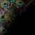 :iconKPalette: