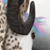 :iconkpflamer: