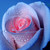:iconkpopgirl21: