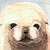 :iconkpoplover718: