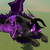 :iconkraark: