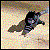:iconkradmousy202: