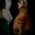 :iconkrainz0rz: