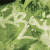 :iconkraise: