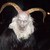 krampusstyle009 :iconkrampusstyle009:
