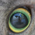 :iconkrannichfeld:
