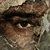 :iconkrass62: