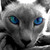 :iconkrazedkitten: