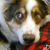 :iconkrazeh-captures: