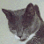 :iconkrazy4katz: