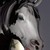 :iconkrazyhorsegraphics:
